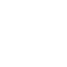 pionova-logo