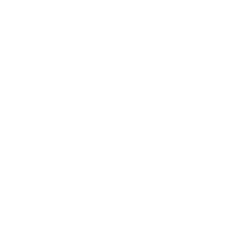 wise-nadel-design